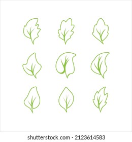 Green leaves logo.green leaf icons set vector template