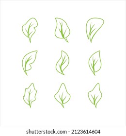 Green leaves logo.green leaf icons set vector template