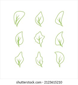 Green leaves logo.green leaf icons set vector template