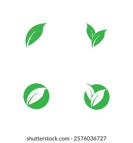Green leaves logo.green leaf icons set vector template