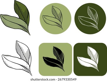Logotipo de hojas verdes. Vector gráfico línea tinta ilustración de color. Signo de la silueta para el logotipo, impresión, cómics, moda, arte pop, tableros, diseño, pegatinas, decoración, carteles
