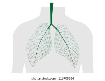 Green leaves of the lung