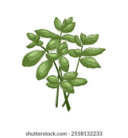 Green leaves of mint. Fresh herbal with green. For menu, packaging, cooking book, web or label design vector illustration in flat style.