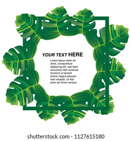Green Leaves of Monstera vector illustration design for nature pattern or background with white isolated