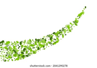 Green Leaves Motion Vector Poster. Falling Greens Template. Mint Foliage Transparent Banner. Leaf Fresh Design.