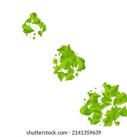 Green Leaves Motion Vector White Background Branch. Spring Foliage Pattern. Swamp Greens Realistic Design. Leaf Organic Illustration.
