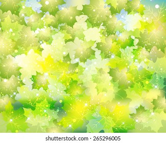 green leaves natural background
