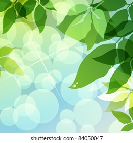 green leaves natural background