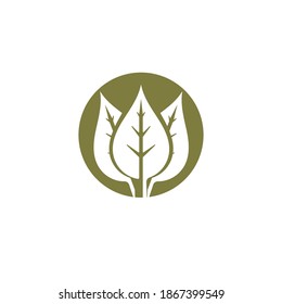 Green leaves, natural ecology logo element vector