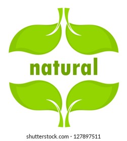 Green Leaves Natural Product Concept Vector Stock Vector (Royalty Free ...