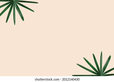 Green leaves nature background, Nature green background vector