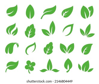 Green leaves nature eco logo. Fresh organic plant symbol, vegan label icons. Ecology and healthy emblem. Bio eco-friendly, environment care vector set