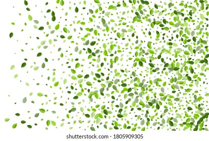 Green Leaves Nature Vector Design. Spring Leaf Background. Swamp Greens Tree Branch. Foliage Realistic Illustration.