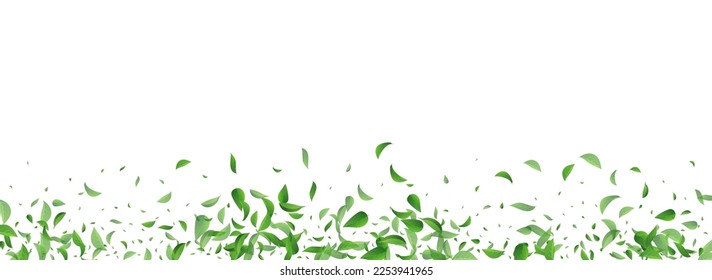 Green Leaves Nature Vector Panoramic White Background Pattern. Swirl Leaf Border. Mint Greens Falling Concept. Foliage Herbal Plant.