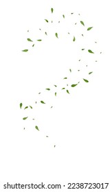 Green Leaves Nature Vector White Background Template. Herbal Leaf Concept. Grassy Foliage Tree Design. Greens Flying Poster.
