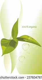 Green leaves on the abstract background. Vector