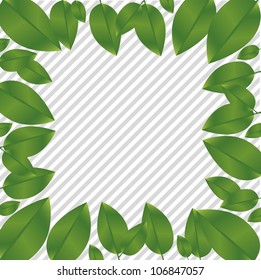 Green leaves on a background of gray lines, vector illustration