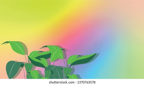 Green leaves on a beautiful background