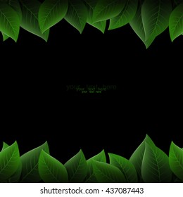 green leaves on a black background, vector