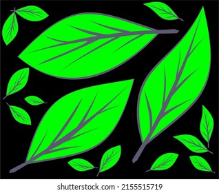 green leaves on black, can be used for wall backdrops for offices, houses, apartments and others