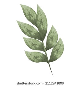 Green leaves on a branch of the plant separately on a white background. Watercolor. Painted foliage for creating natural textile designs, postcards, printing, decoration. Vector design
