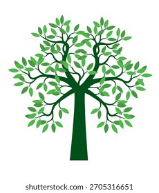 Grüne Blätter auf Ästen. Vektorgrafik. Ein von Hand gezeichneter Baum. 
