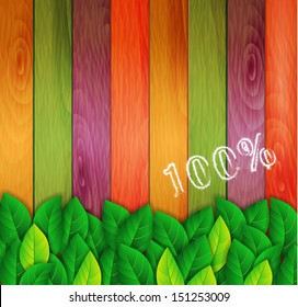 green leaves on a colored background