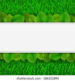 green leaves on grass card, vector illustrations