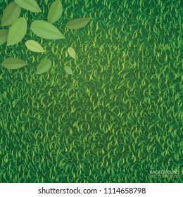 Green leaves on green grass floor texture for background. Vector illustration.