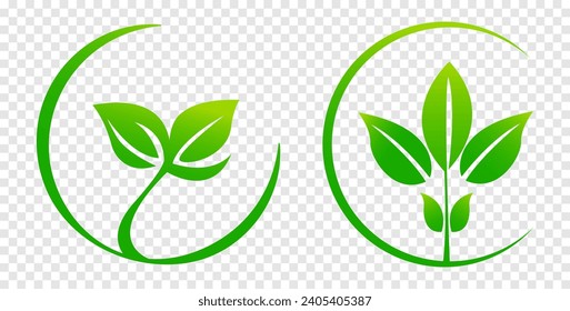green leaves on isolated background, for logos, designs, for the symbolism of the green planet. logo template, health food icon, organic vegetable garden. Eco-friendly growing. Vector illustration