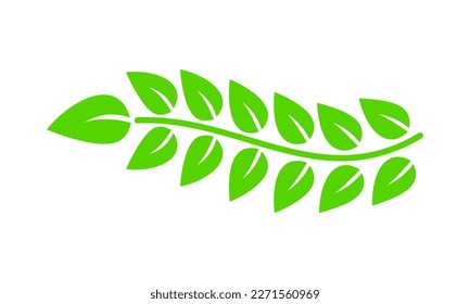 Green leaves on line branch tree nature eco icon logo flat vector design