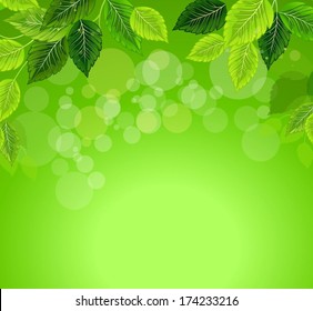 Green leaves on spring background