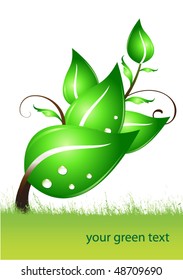 green leaves on a strange tree
