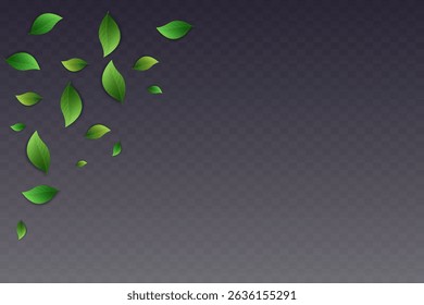 Green leaves on transparent background. Vegan, eco, organic set of leaves for design. Swirl greenery design. Leaf ecology banner. Vector illustration.