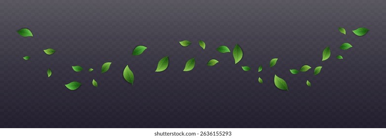 Green leaves on transparent background. Vegan, eco, organic set of leaves for design. Swirl greenery design. Leaf ecology banner. Vector illustration.