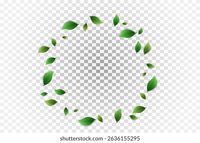 Green leaves on transparent background. Vegan, eco, organic set of leaves for design. Swirl greenery design. Leaf ecology banner. Vector illustration.