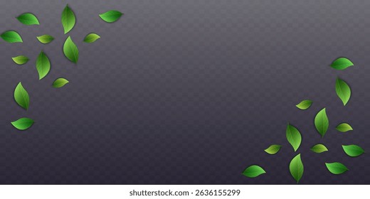 Green leaves on transparent background. Vegan, eco, organic set of leaves for design. Swirl greenery design. Leaf ecology banner. Vector illustration.
