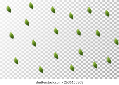 Green leaves on transparent background. Vegan, eco, organic set of leaves for design. Swirl greenery design. Leaf ecology banner. Vector illustration.