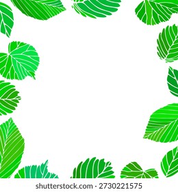 Folhas verdes em um fundo transparente formando uma moldura quadrada. para design, decoração, banner, artigo