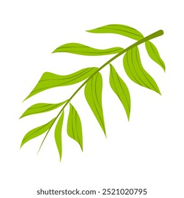 Green leaves on twig in flat design. Greenery with foliage, tropical plant . Vector illustration isolated.