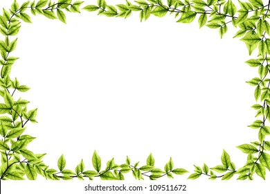 Green leaves on white background, vector illustration