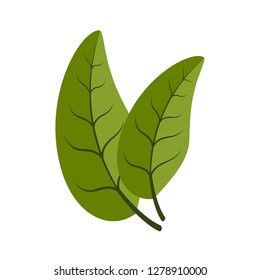 Green leaves on a white background. Design by Inkscape.