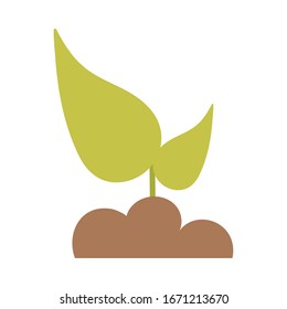green leaves on white background vector illustration design