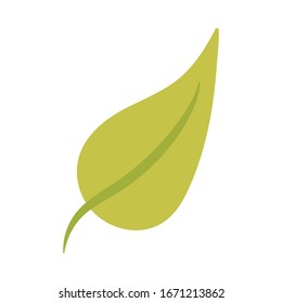 hojas verdes sobre el diseño de ilustración vectorial de fondo blanco