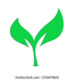 Green leaves on white background. Isolated vector illustration of plant. Ecology, nature concept. 