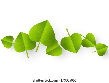 Green leaves on white background