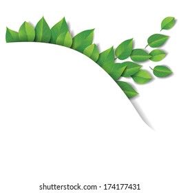 Green leaves on white background with space for text.