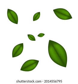 green leaves on white background. vector illustration