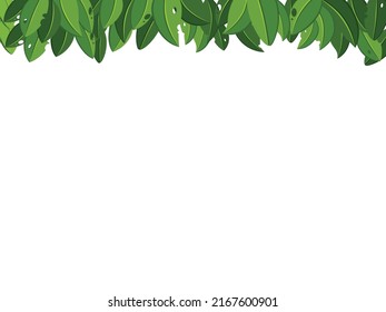 Green leaves on white background .Vector illustrations. New template design for banner, flyer, brochure or voucher. Natural therapy