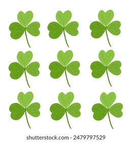 green leaves on white background. Environment and ecology backdrop